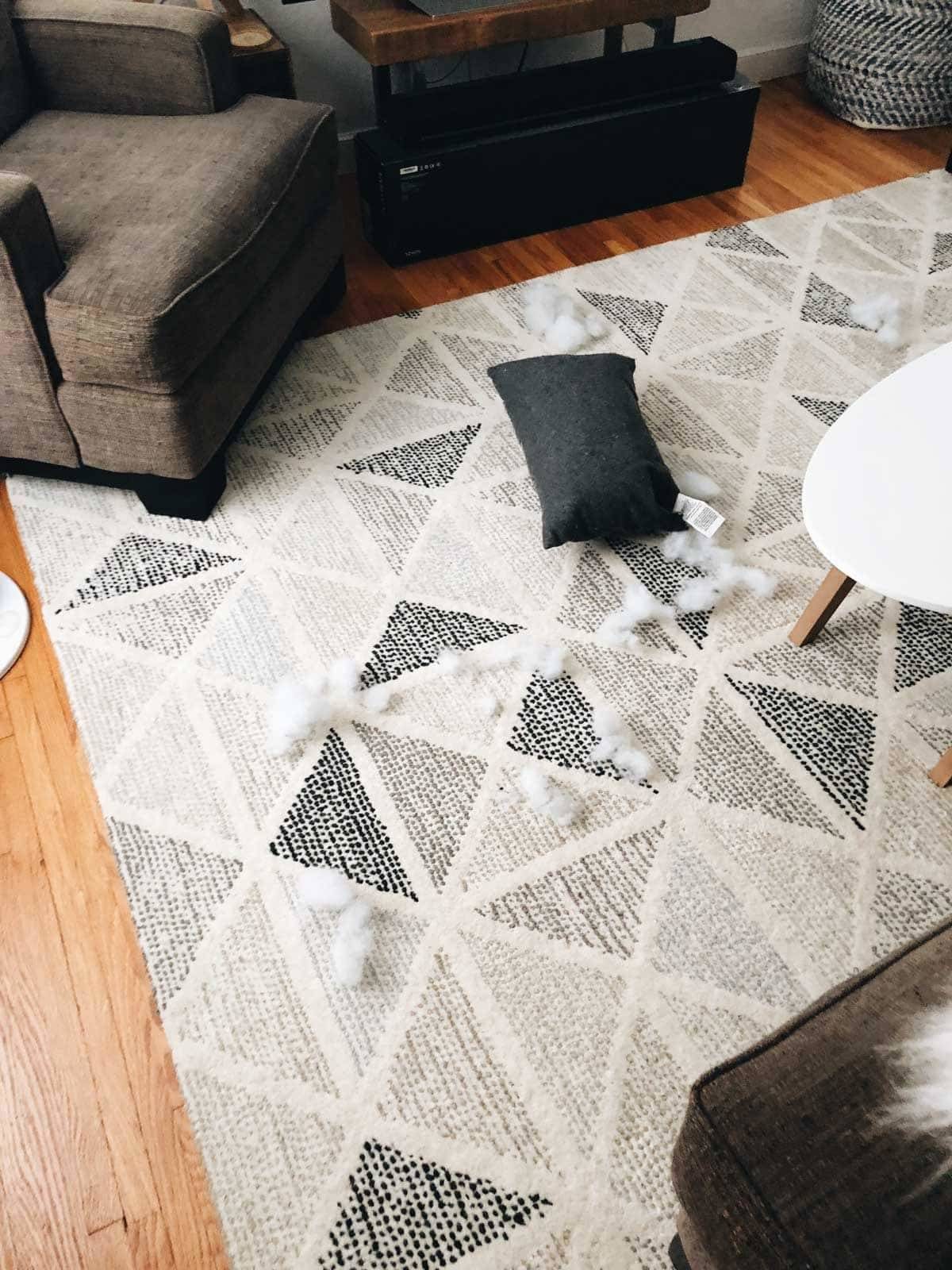 Pillow on floor with stuffing torn out.