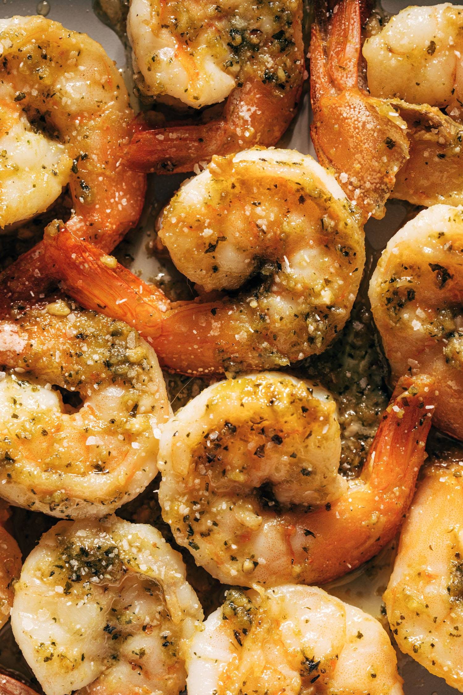 Close up of shrimp pesto
