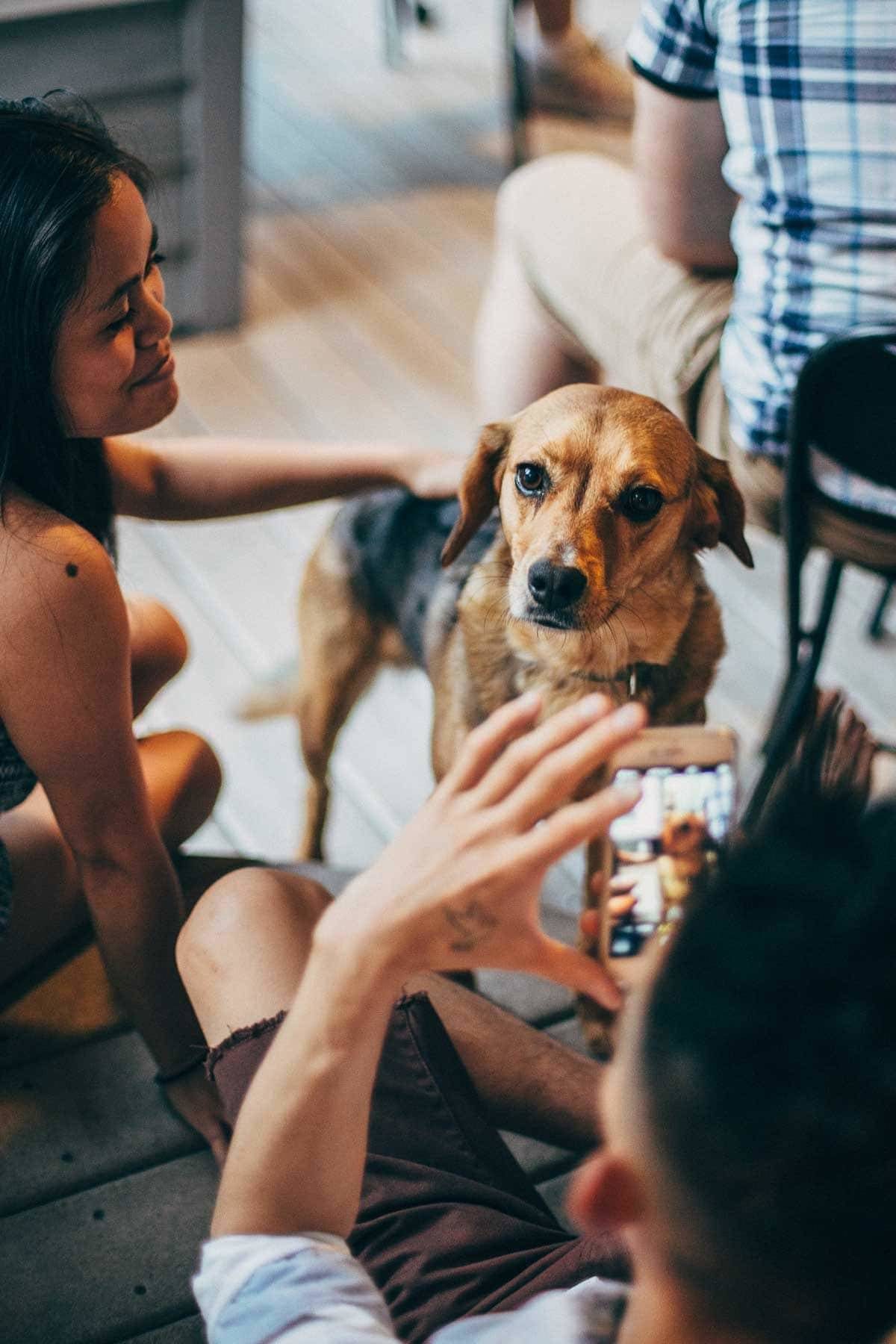 Fourth of July | pinchofyum.com Fourth of July | pinchofyum.com